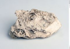 Foto von Bergkork (NHMW-MIN-Ab4029)